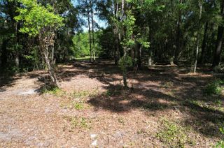SE 164TH TERRACE, Williston, FL 32696