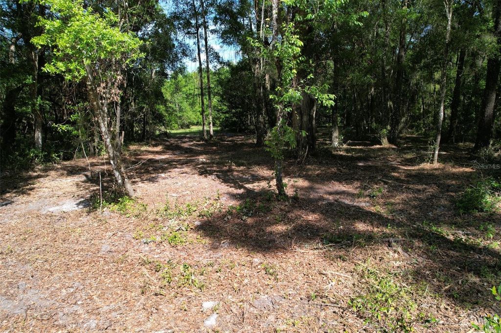 SE 164TH TERRACE, Williston, FL 32696