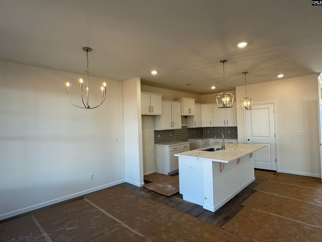 566 Griffon Drive, Chapin, SC 29036