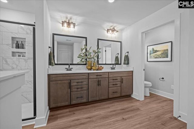 566 Griffon Drive, Chapin, SC 29036