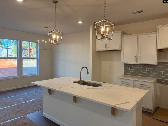 566 Griffon Drive, Chapin, SC 29036