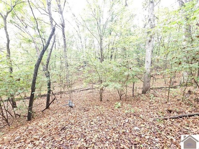 473 Cactus St, Benton, KY 42025