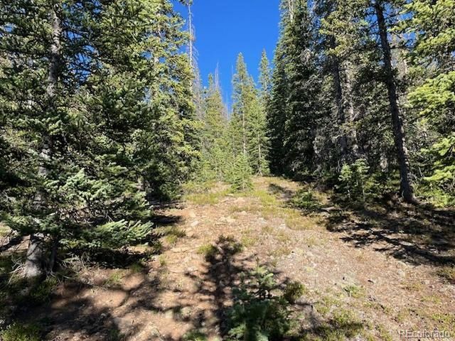 6525 Schlueter Rd, San Luis, CO 81152
