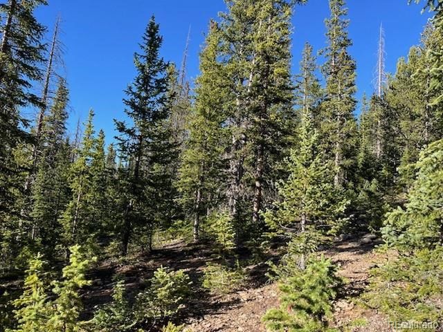 6525 Schlueter Rd, San Luis, CO 81152
