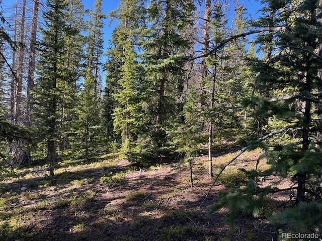 6525 Schlueter Rd, San Luis, CO 81152