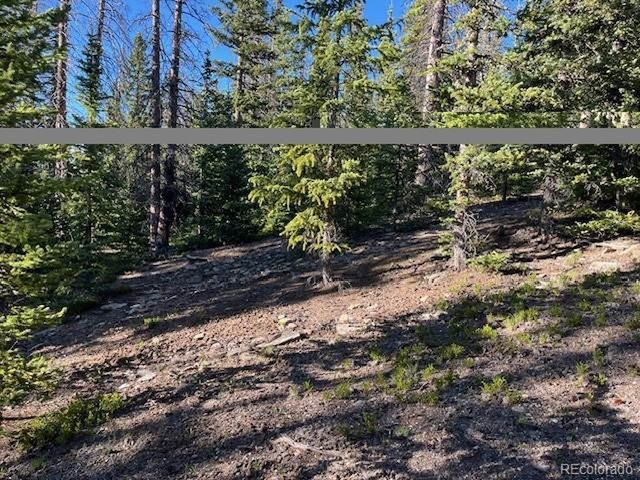 6525 Schlueter Rd, San Luis, CO 81152