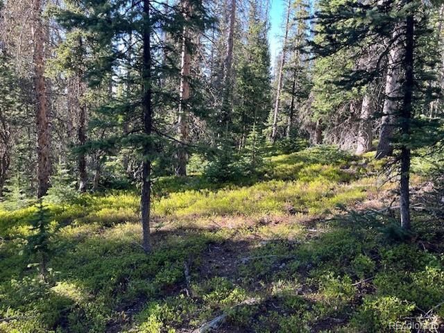 6525 Schlueter Rd, San Luis, CO 81152