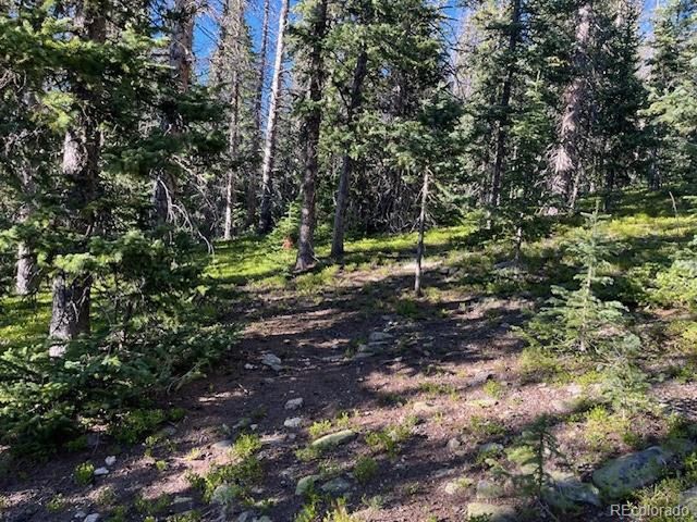 6525 Schlueter Rd, San Luis, CO 81152