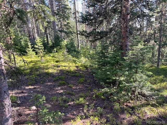 6525 Schlueter Rd, San Luis, CO 81152