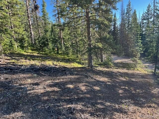 6525 Schlueter Rd, San Luis, CO 81152