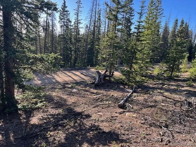 6525 Schlueter Rd, San Luis, CO 81152