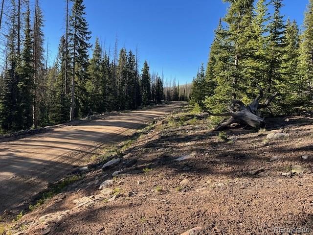 6525 Schlueter Rd, San Luis, CO 81152
