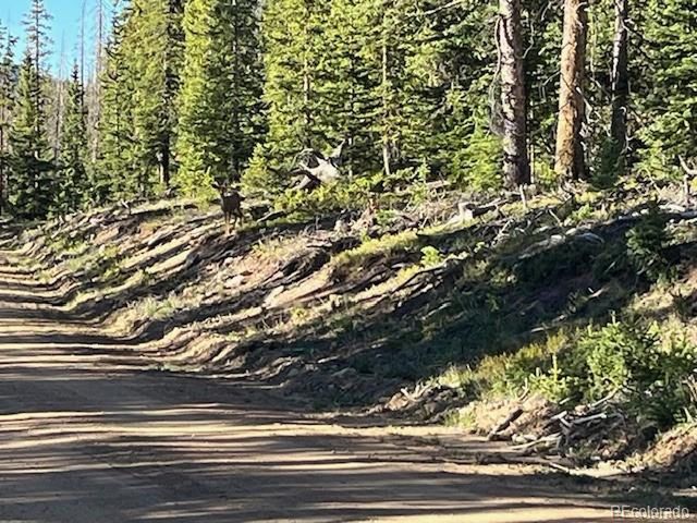 6525 Schlueter Rd, San Luis, CO 81152