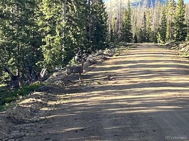 6525 Schlueter Rd, San Luis, CO 81152