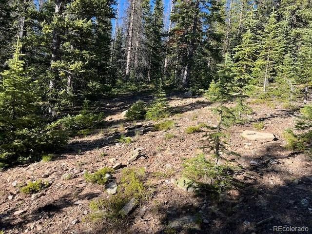 6525 Schlueter Rd, San Luis, CO 81152