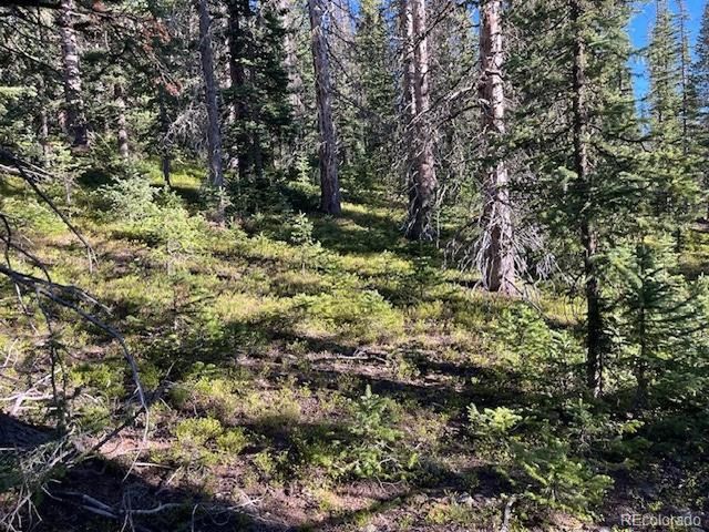 6525 Schlueter Rd, San Luis, CO 81152