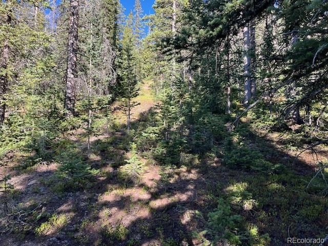 6525 Schlueter Rd, San Luis, CO 81152