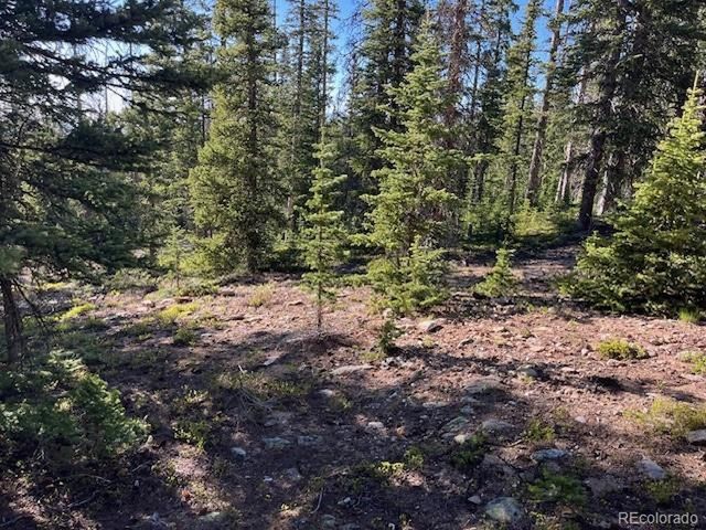 6525 Schlueter Rd, San Luis, CO 81152