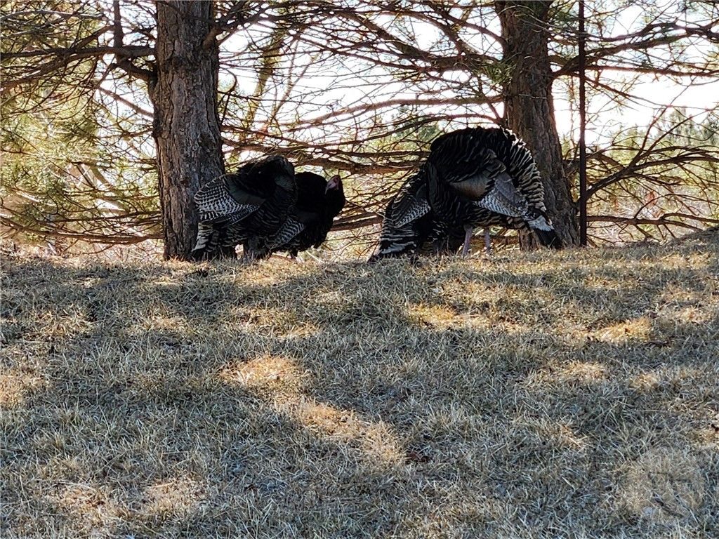 TBD TBD, Big Timber, MT 59011 photo 11