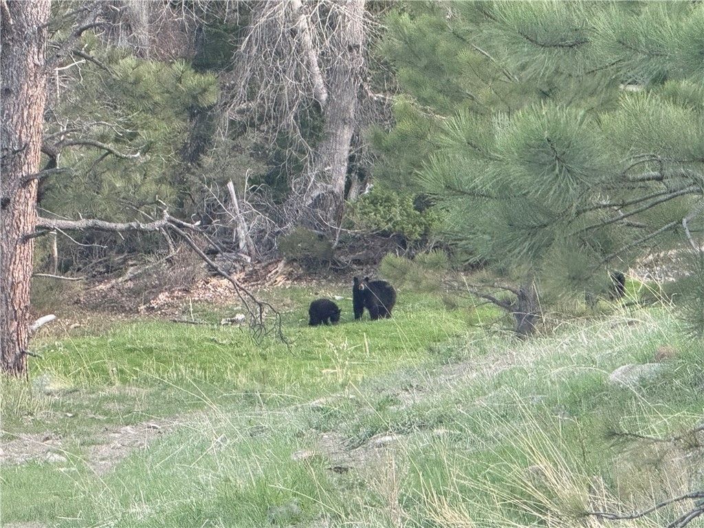 TBD TBD, Big Timber, MT 59011 photo 15