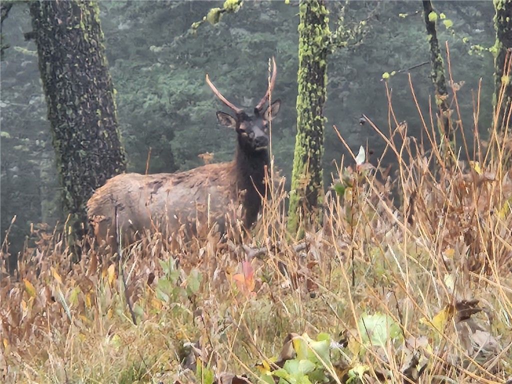 TBD TBD, Big Timber, MT 59011 photo 18