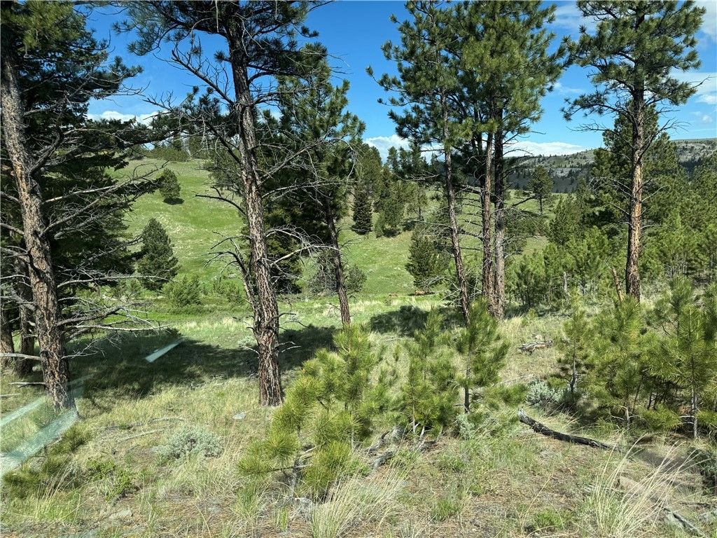 TBD TBD, Big Timber, MT 59011 photo 36