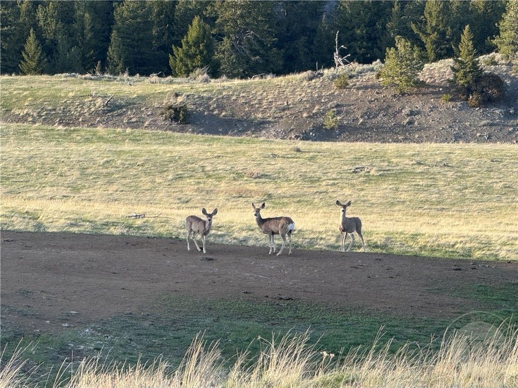 TBD TBD, Big Timber, MT 59011 photo 7