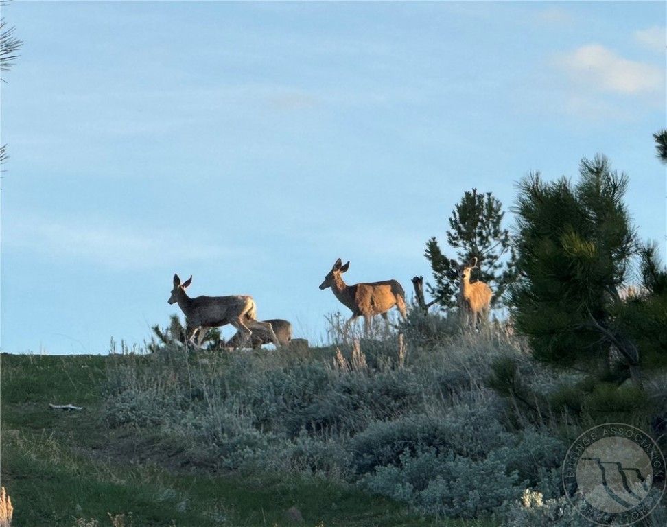 TBD TBD, Big Timber, MT 59011 photo 8