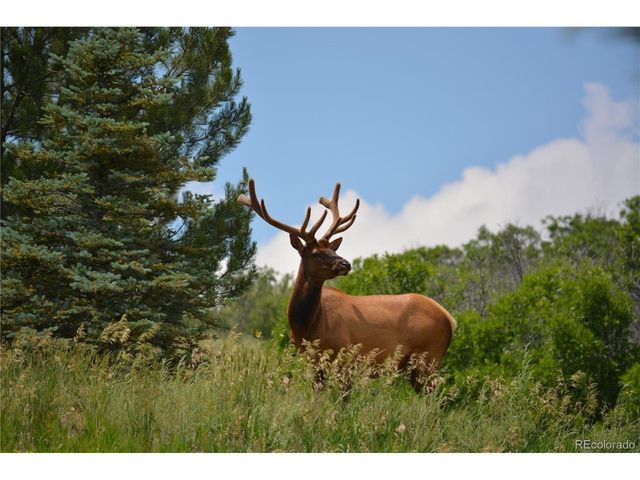 4367 Tallyrand Cir, Castle Rock, CO 80104