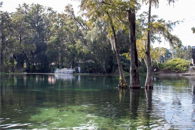 20840 Chestnut Street, Dunnellon, FL 34431