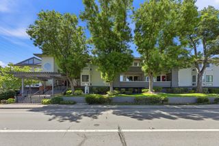 22330 Homestead Road 226, Cupertino, CA 95014