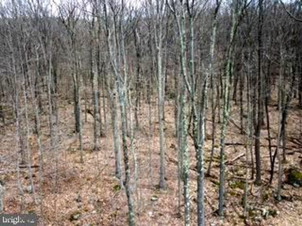 BEAR RUN, Oakland, MD 21550