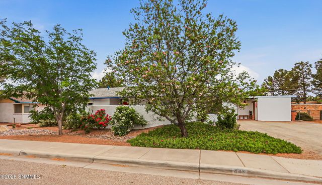 445 Palmer Road, Las Cruces, NM 88005