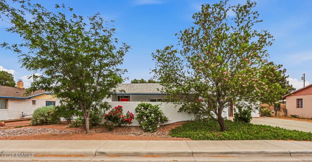 445 Palmer Road, Las Cruces, NM 88005