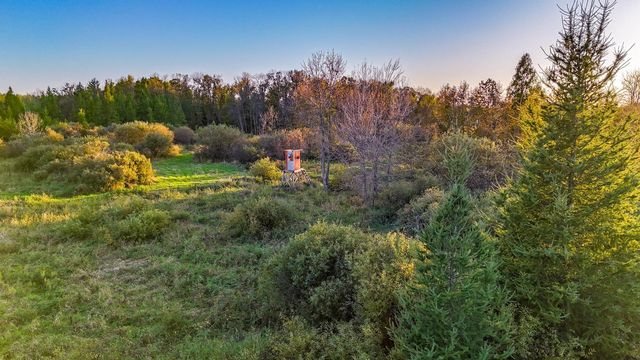 TBD 35515 State Highway 87, Frazee, MN 56544