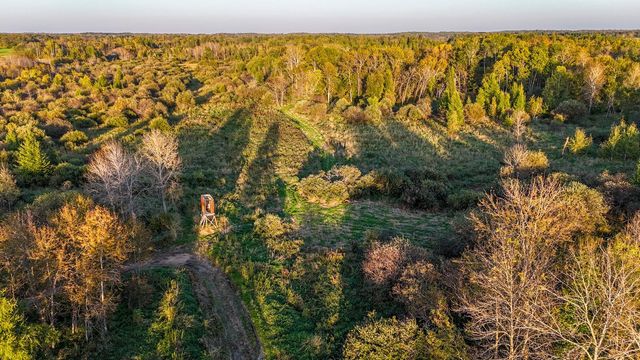 TBD 35515 State Highway 87, Frazee, MN 56544