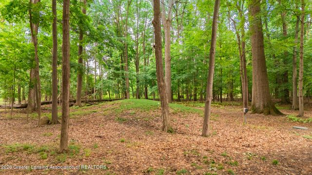 1045 N Eifert Road, Holt, MI 48842
