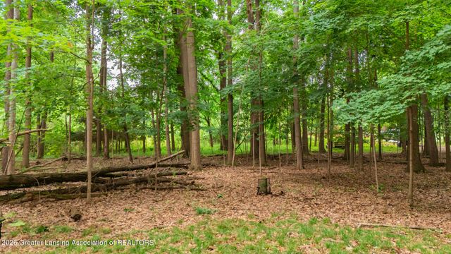 1045 N Eifert Road, Holt, MI 48842
