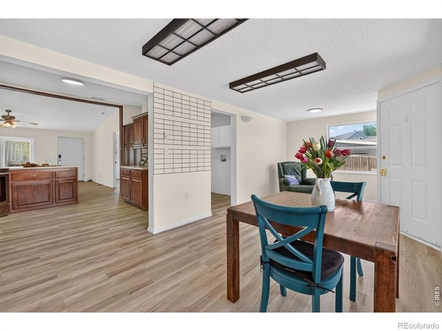 255 Kattell Street, Erie, CO 80516