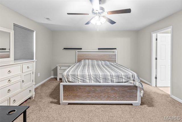 245 River Laurel Drive, Belleville, IL 62220