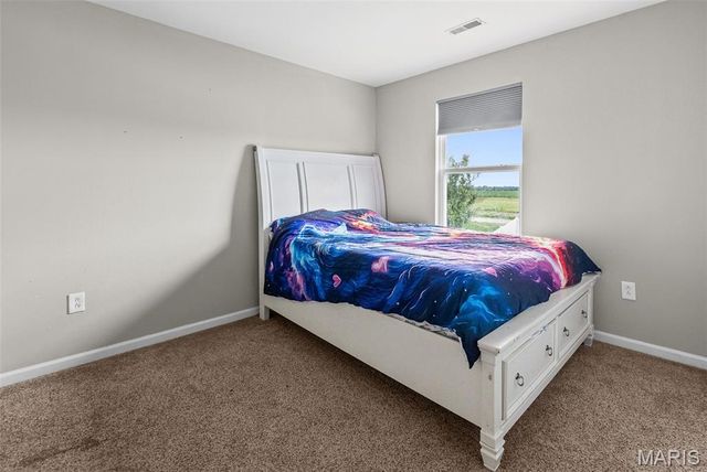 245 River Laurel Drive, Belleville, IL 62220