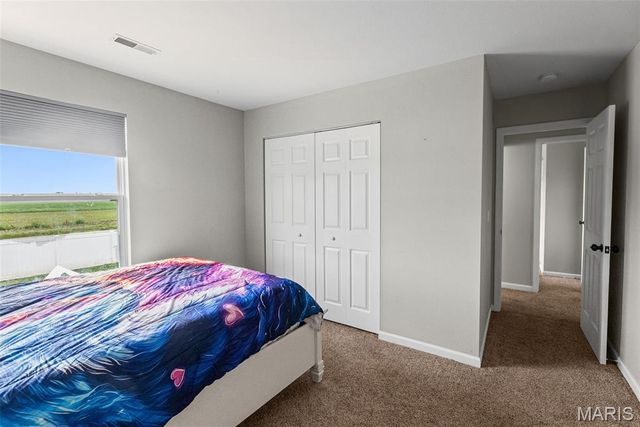 245 River Laurel Drive, Belleville, IL 62220