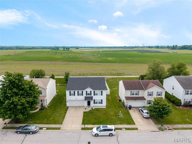 245 River Laurel Drive, Belleville, IL 62220