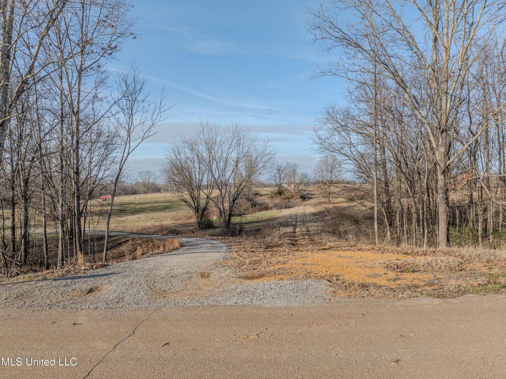 2 Boggan Lane, Hernando, MS 38632 — photo 2