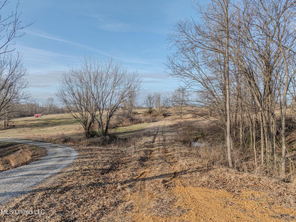 2 Boggan Lane, Hernando, MS 38632 — photo 3