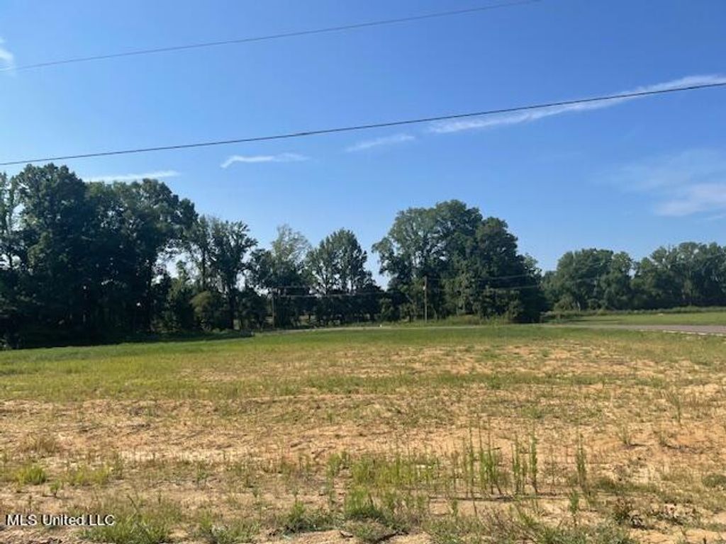 5336 Cane Creek Cove, Hernando, MS 38632 — photo 2