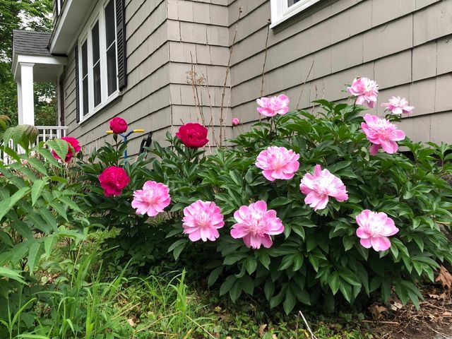 24 Thorndike Street, Reading, MA 01867