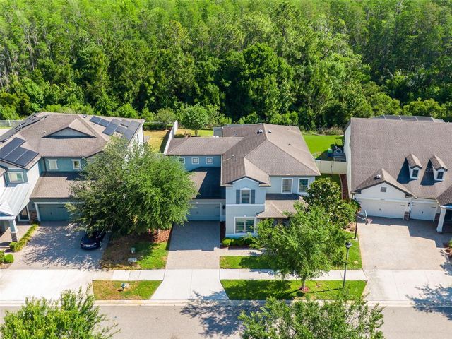 12991 PAYTON STREET, Odessa, FL 33556