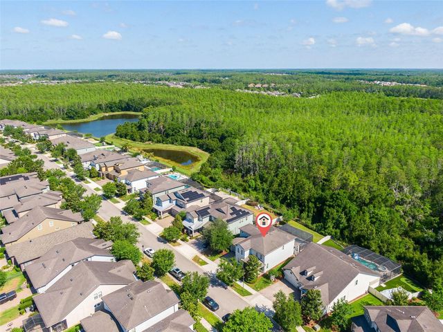 12991 PAYTON STREET, Odessa, FL 33556