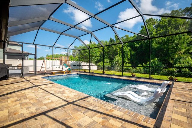 12991 PAYTON STREET, Odessa, FL 33556